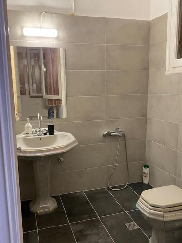 a bathroom with a sink and a toilet at Sandras apartment in Igoumenitsa