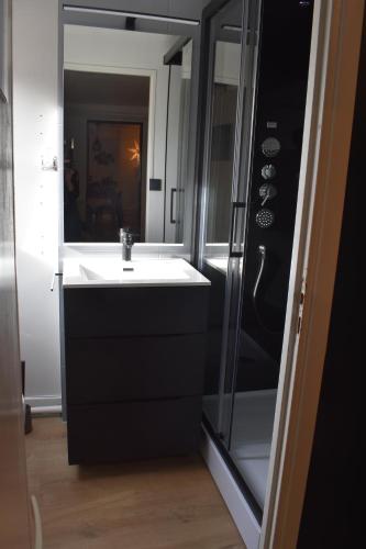 une salle de bain avec un lavabo blanc et une douche dans l'établissement La Tour du Rempart - Appartement T2 en duplex en hypercentre de Colmar, à Colmar