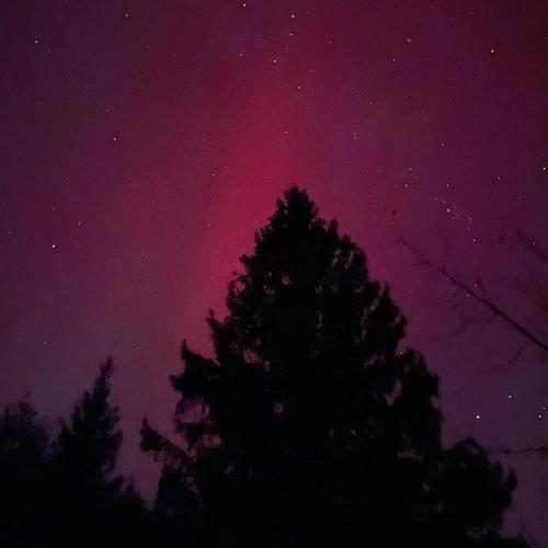 a purple and pink sky with a tree at The Blue House On The Hill Catskills—Views in Claryville