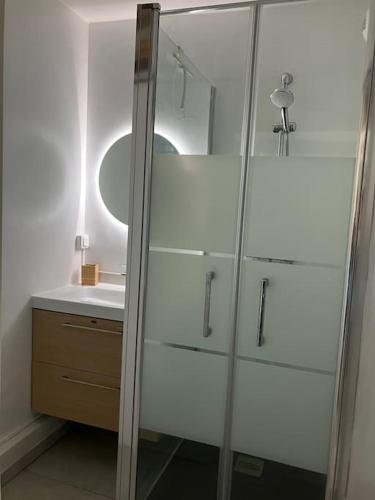 une salle de bain avec douche et lavabo dans l'établissement Appartement Barrière de Paris-Ponts jumeaux, à Toulouse