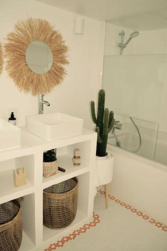 La salle de bains est pourvue d'un lavabo, d'un miroir et d'un cactus. dans l'établissement Logement avec jardin à 200m de la digue, à Wimereux