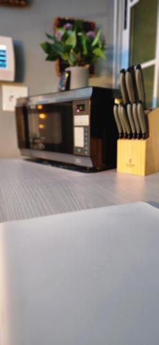 a microwave sitting on top of a counter with a plant at Trinitarias House Piscina karaoke Bar wifi in Salinas