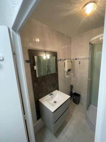 une salle de bain avec un lavabo, une douche et un miroir dans l'établissement Studio avec place de parking, à Balaruc-les-Bains