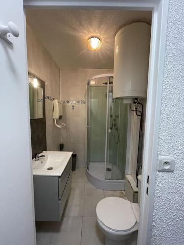 une salle de bain avec toilettes, douche et lavabo dans l'établissement Studio avec place de parking, à Balaruc-les-Bains
