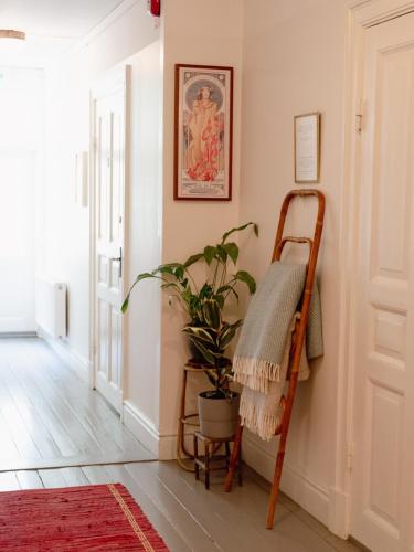 a room with a ladder and a plant in it at STF Villa Söderåsen B&B in Röstånga