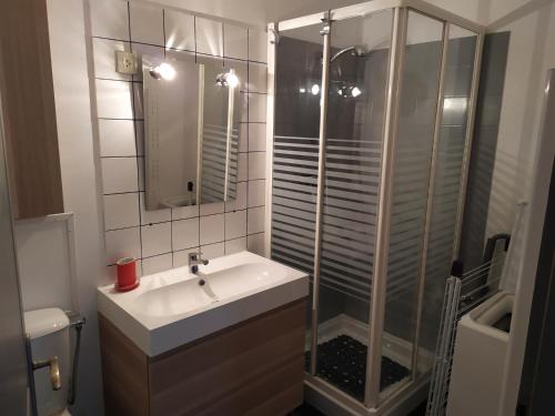 Un baño con lavabo y ducha en Gîte Ty Laouen Clohars-Carnoët, en Clohars-Carnoët