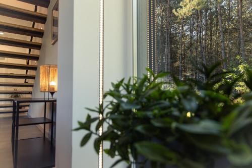 Fotografie z fotogalerie ubytování Wilga HOUSE v destinaci Piła