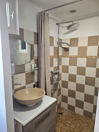 La salle de bains est pourvue d'un lavabo et d'une douche. dans l'établissement Entre mer et campagne, à Martigues
