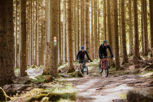 two people riding bikes on a trail in the woods at STF Villa Söderåsen B&B in Röstånga