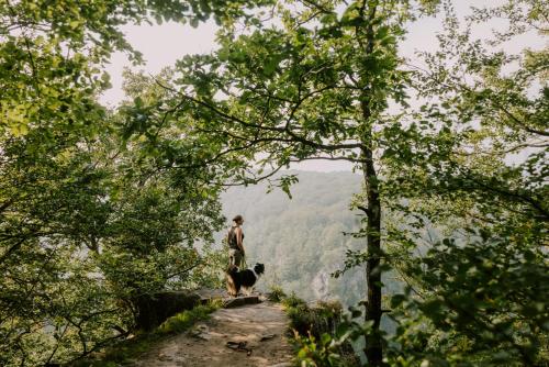 a man and his dog standing on a mountain trail at STF Villa Söderåsen B&B in Röstånga