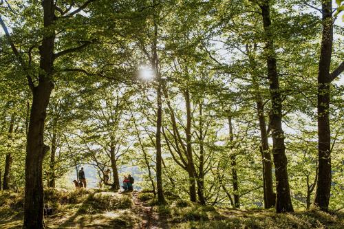 a group of people walking through a forest at STF Villa Söderåsen B&B in Röstånga