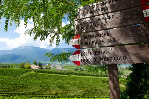 a directional sign in front of a vineyard at Hotel Girlanerhof in Appiano sulla Strada del Vino