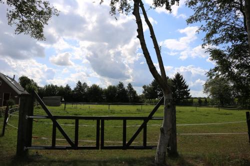 a fence around a tree in a field at Gastenhuis de Veenstraal Gieterveen in Gieterveen