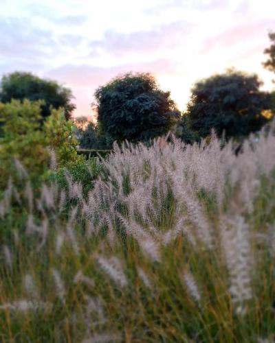 Fotografie z fotogalerie ubytování Chambres d'hôtes - Au Clos d'Amande v destinaci Lasne