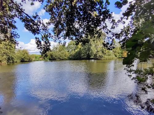 a view of a river with trees at Huisje aan het water in Lichtervelde