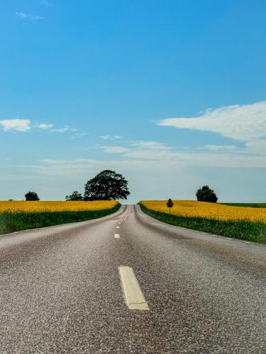 an empty road in the middle of a field of flowers at Villa Hav & Hygge in Borrby