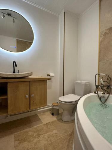 une salle de bain avec un lavabo, des toilettes et un miroir dans l'établissement T3 centre ville, balneo et parking privé, à Aurillac