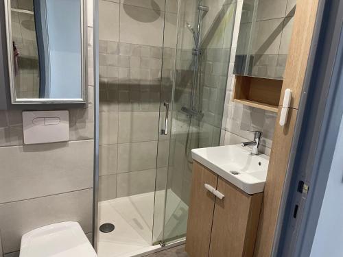 une salle de bain avec une douche, des toilettes et un lavabo dans l'établissement Superbe appartement en plein centre ville de Nice!, à Nice