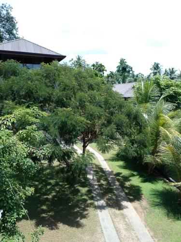 a tree in a yard next to a house at Villa Rumassala Luxury Chalets Unawatuna in Unawatuna