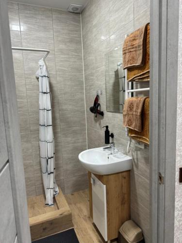 a bathroom with a sink and a shower at Family Hotel in Novomoskovsʼk