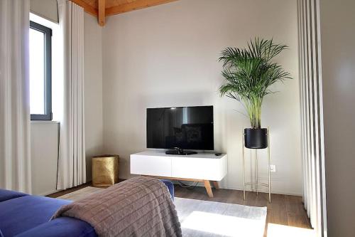 ein Wohnzimmer mit einem TV und einer Topfpflanze in der Unterkunft RestOnDouro Oporto Family in Valbom