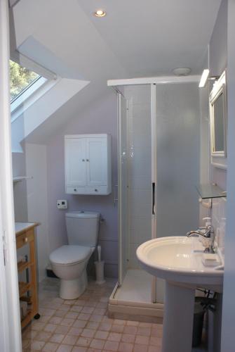 une salle de bain avec une douche, des toilettes et un lavabo dans l'établissement Maison Le Quéric La trinité sur mer, à La Trinité-sur-Mer
