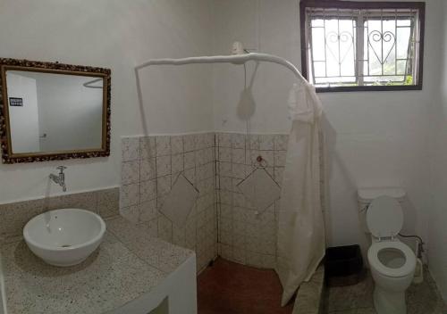 キングスタウンにあるLADVILLE Apartment near Kingstown #2の洗面台、トイレ、鏡のあるバスルーム