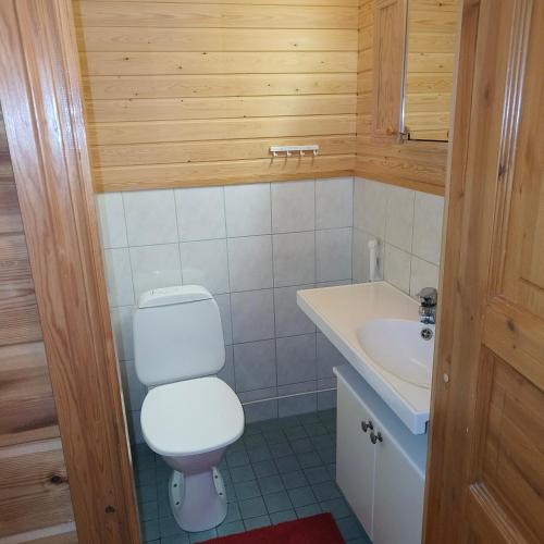 a bathroom with a white toilet and a sink at SuLevi Apartment in Levi