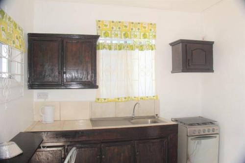 キングスタウンにあるLADVILLE Apartment near Kingstown #2の木製のキャビネットとシンクと窓のあるキッチン