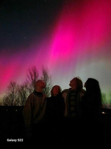 a group of people looking at the northern lights at Bungalåven Lodge AS in Børselv