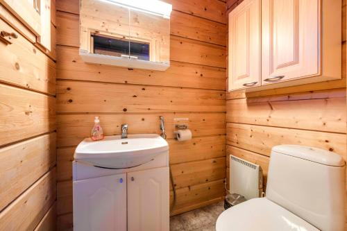 a bathroom with a white toilet and a sink at Lomahuoneisto Karkelopirtti 2 B in Himos