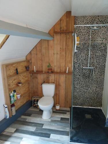 une salle de bain avec toilettes et douche dans l'établissement Maisonnette cosy, à Vermenton
