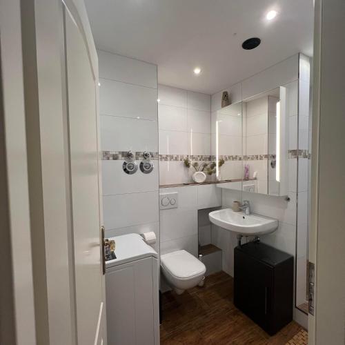 a white bathroom with a toilet and a sink at Am Gifizsee 3 Zim Apartment für Familien in Offenburg