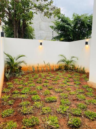 a white wall with plants in a yard at Duplex Luque in Luque