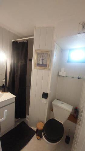 une salle de bain avec toilettes, lavabo et douche dans l'établissement Studio cabine climatisé sur l'île des pêcheurs, au Cap d'Agde