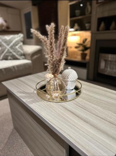 Area soggiorno di Luxurious 2 Bedroom Caravan