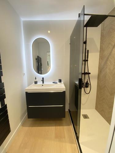 une salle de bain avec un lavabo et un miroir dans l'établissement L'ESCALE DOREE, Centre-ville et gare à pied, à Vannes