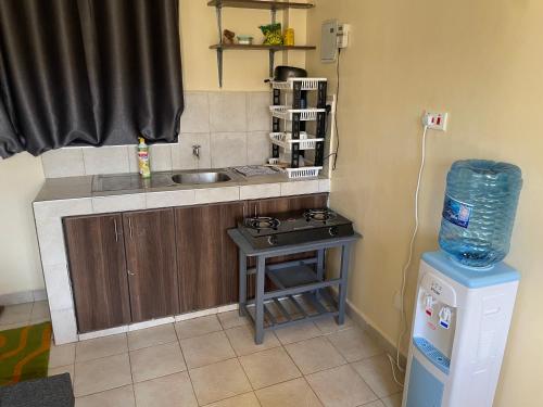 a small kitchen with a sink and a stove at Malewa Heights Apartments in Kalimoni