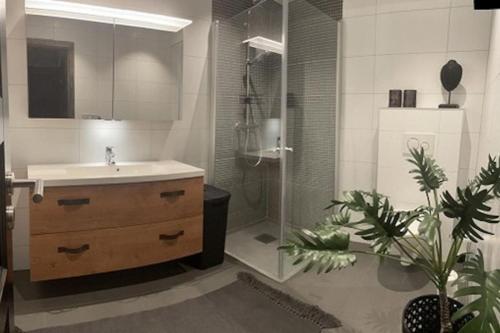 Un baño con lavabo y ducha en Hovden Alpin Lodge! Ski in out, en Hovden