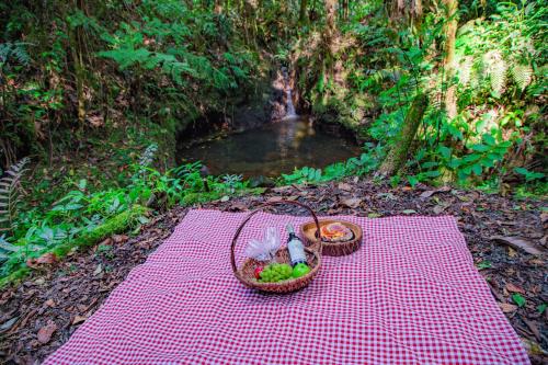two baskets of fruit sitting on a red blanket at Boskoso in Pereira