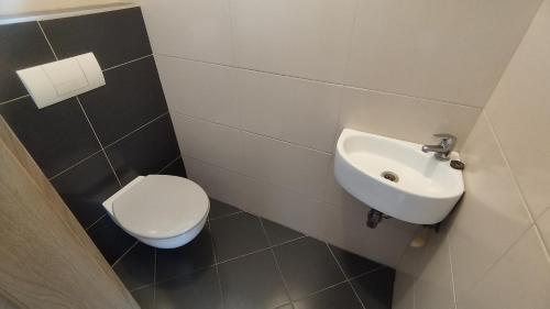 Koupelna v ubytování Apartmány Solka