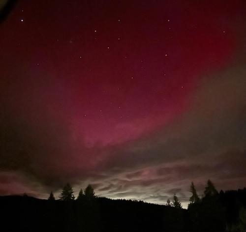 Foto dalla galleria di Ferienwohnung Schwarzwald a Hinterzarten