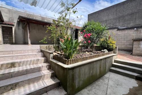 un ensemble de mesures concrètes avec des fleurs et des plantes dans l'établissement Grande Maison tout confort au Coeur de Nogent, à Nogent-sur-Seine