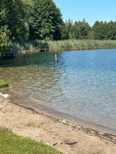 a bird standing in the water on a lake at Mazury Przyjazny Dom w Leleszkach z gorącą balią in Leleszki
