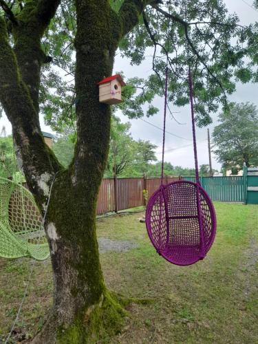 a purple swing hanging from a tree with a birdhouse at Myudro agaraki in Bagdatʼi