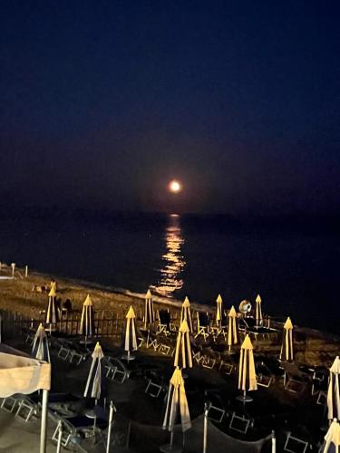 Φυσικό τοπίο κοντά σε αυτό το ξενοδοχείο