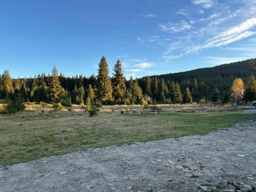 a park with a picnic table in a field at CabanA Comandău in Comandău