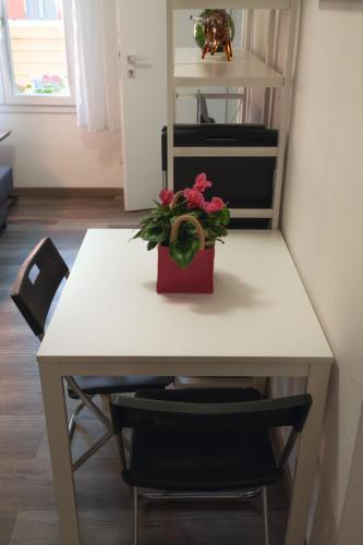 Vikos Lodge Apartment photo 17
