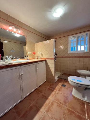 a bathroom with a sink and a toilet and a mirror at Casa Rural Oropesa in Villanueva del Ariscal