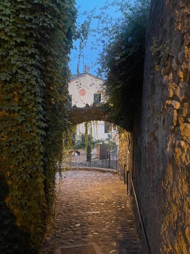 Une allée avec du lierre sur le côté d'un bâtiment dans l'établissement Biot - Place des Arcades, à Biot